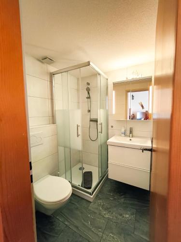 a bathroom with a shower and a toilet and a sink at Bodmi on the top Apartment - Aare Jungfrau AG in Grindelwald
