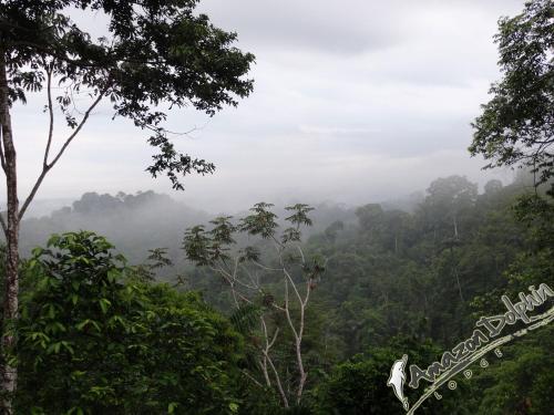a view of a misty valley in the rainforest at Amazon Dolphin Lodge in Tereré
