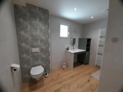 a bathroom with a toilet and a sink and a mirror at Aux champs Pressinois in Pressins