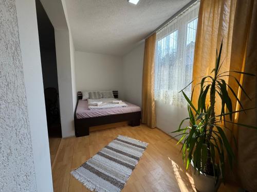 a room with a bed and a plant in it at Studio Apartman Đurđevak 2 in Banja Koviljača