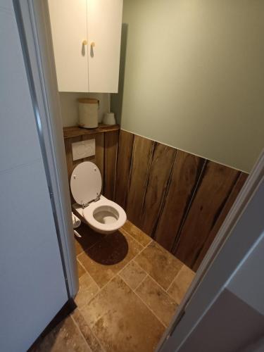 a bathroom with a white toilet in a room at mahuet florent in Bissy-sous-Uxelles