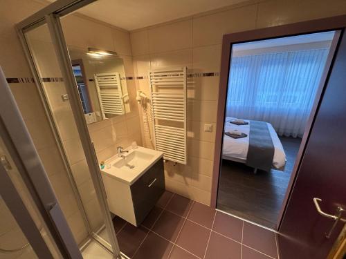 a bathroom with a sink and a mirror and a bed at Hôtel de ville du Sentier in Le Sentier
