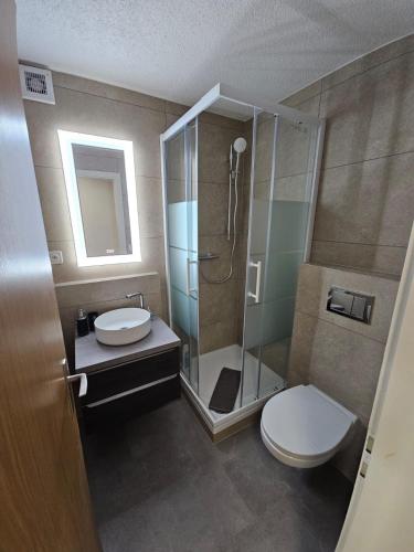 a bathroom with a shower and a toilet and a sink at Peak Apartment - Aare Jungfrau AG in Grindelwald