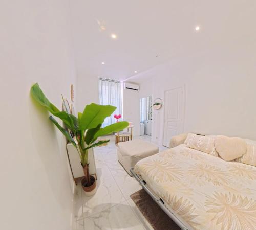 Beautiful refurbished air conditioned studio heart of Nice
