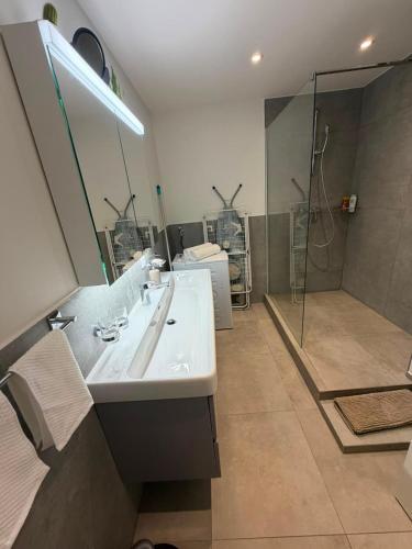 a bathroom with a sink and a shower at Studio Etoile Elegance in Bartenheim