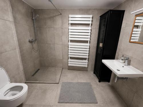 a bathroom with a toilet and a sink and a shower at Apartmán Lidická bouda in Pec pod Sněžkou