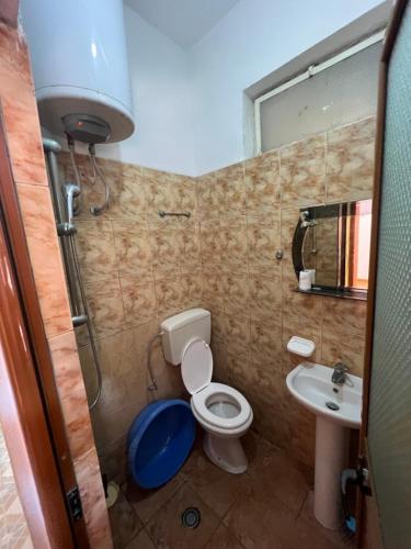 a bathroom with a toilet and a sink at Velipoja Hospitality in Velipojë