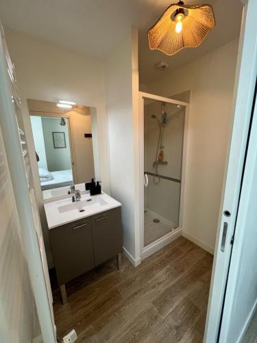 a bathroom with a sink and a shower and a mirror at Le Vigne - Terrasse privée in Aytré