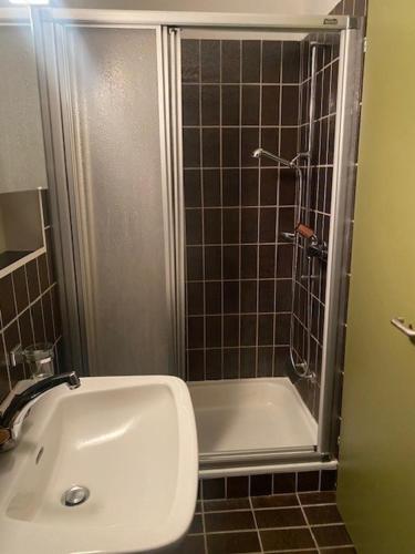 a bathroom with a shower and a white sink at Cameretta Pineta Carì in Molare
