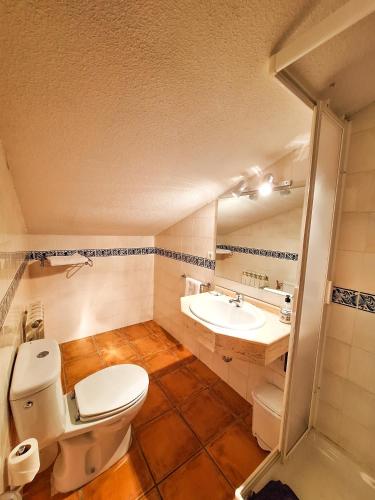 a bathroom with a toilet and a sink at Hotel-Albergue Puente Fitero in Itero de la Vega