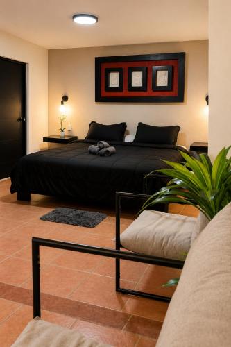 a bedroom with a black bed and a plant at Oros Jalatlaco in Oaxaca City