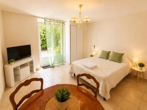 Oasis Secrète à Cannes - Prestigieuse Villa Historique Jardin Ombragé Centre et Plages à Pied photo 4