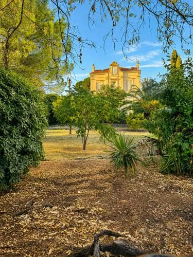 Oasis Secrète à Cannes - Prestigieuse Villa Historique Jardin Ombragé Centre et Plages à Pied photo 11