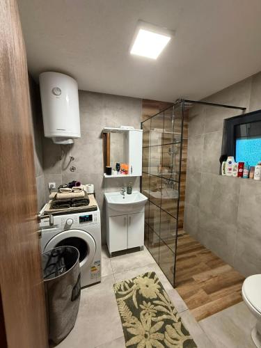 a kitchen with a washing machine and a sink at Hidden pines in Gornji Čevljanovići