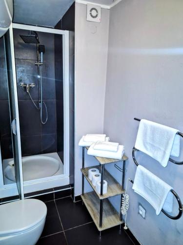 a bathroom with a shower and a toilet and a sink at Family hotel Maxim in Beroun