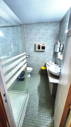 a bathroom with a shower and a toilet and a sink at Le Terminus in Ax-les-Thermes