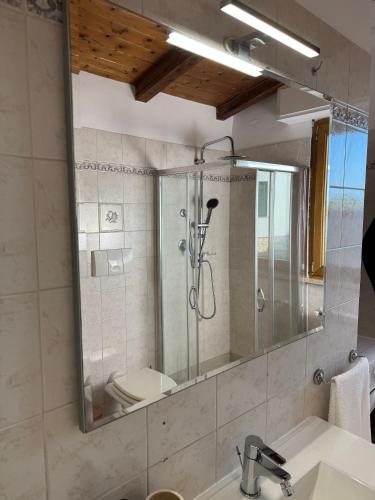 a bathroom with a shower and a sink and a mirror at Mespilia - Tra Mare e Città in Latina