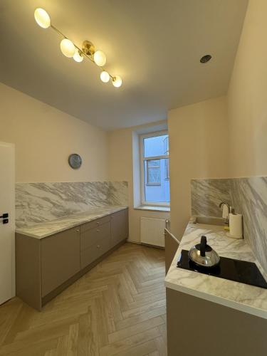 a kitchen with a counter and a sink in a room at Apartamenty Rynek 7 in Cieszyn