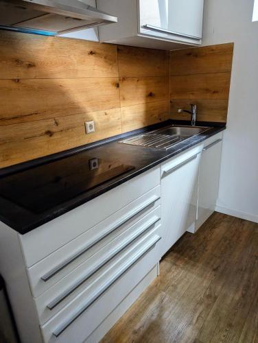 a kitchen with a sink and a wooden wall at Apfelblüte in Stockach