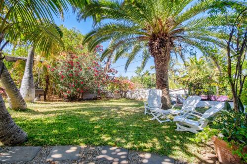two white chairs sitting under palm trees in a yard at Villa avec piscine à Saint-Gilles les Bains, 260 m², 9 pers. in Saint-Gilles-les-Bains
