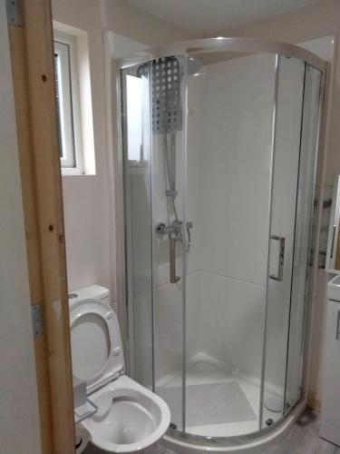 a bathroom with a shower and a toilet at The Place CABIN in Coleraine