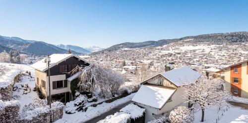 Maison spacieuse près de Gérardmer avec vue sur le lac