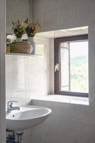 a bathroom with a sink and a window at Apartmaji Žnidarčič in Divača