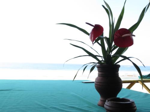 a vase with red flowers on a table near the beach at Mountain Wave Hotel and Surfshop in Hikkaduwa