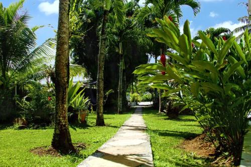 a path through a garden with palm trees at Bungalow cosy à Sainte-Rose, piscine et vue sur jardin. in Sainte-Rose