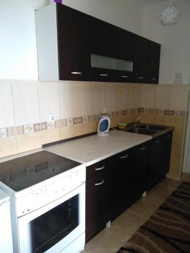 a kitchen with a sink and a counter top at Sea View Apartment Ulcinj 80 m² in Ulcinj