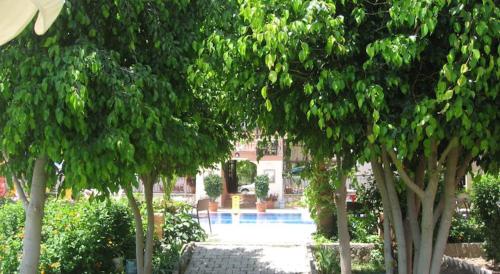a group of trees in front of a pool at MG Moms Hotel in Kemer
