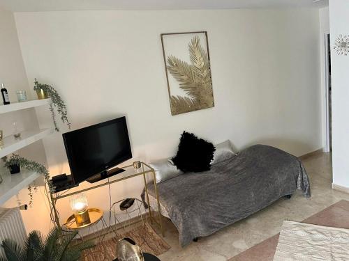 Studio charmant au cœur de Cannes avec balcon et parking
