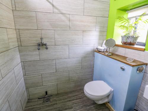 a bathroom with a toilet and a shower at The Brew House in Penrith