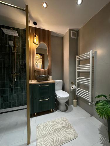 a bathroom with a toilet and a sink and a mirror at Zara Home Cozy Studio in Petroşani