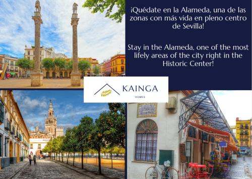 Apartamento Hercules - Kainga Homes