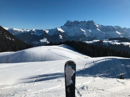 Appartement cosy à Châtel avec vue sur la montagne, 60m²