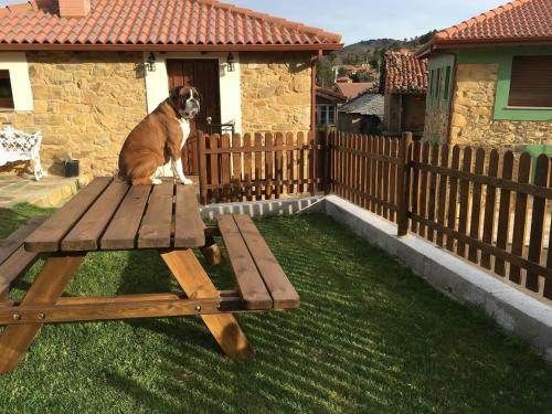a dog sitting on top of a wooden picnic table at Charming house in Biescas with shared pool in Biescas
