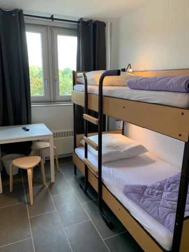 ein Zimmer mit drei Etagenbetten und einem Tisch und einem Fenster in der Unterkunft Hostel Cologne in Köln