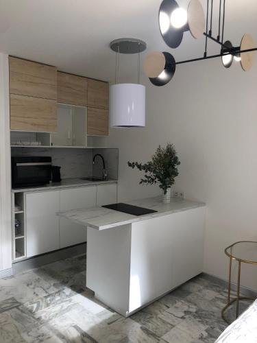 Studio contemporain à Cannes avec terrasse et parking - 35 m²