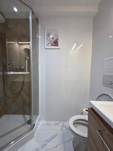 a bathroom with a shower and a toilet at Majowy in Siedlce