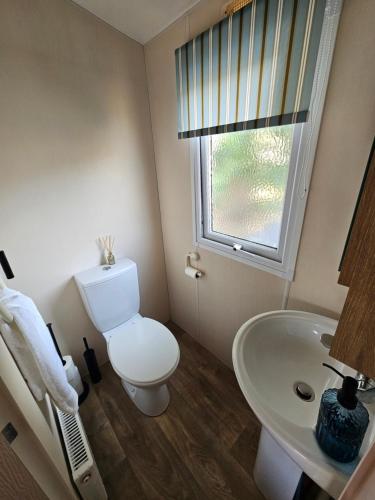 a bathroom with a toilet and a sink at LuLu's Lodge, Billing Aquadrome in Northampton