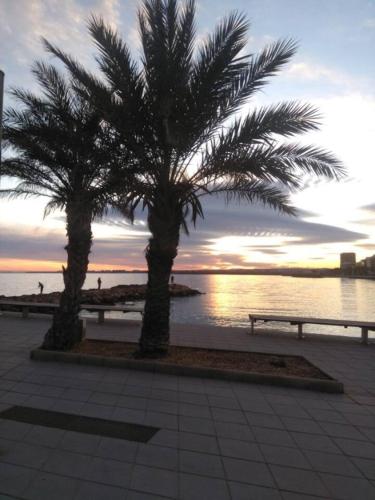 Modern apartment in Torrevieja with terrace - 58 m²