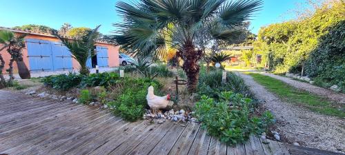 Studio charmant à Hyères, 20 m², jardin et parking privé