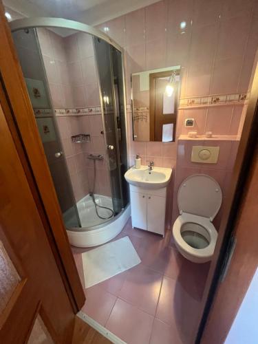 a bathroom with a toilet and a shower and a sink at Dworek na Polance in Wrzosowo