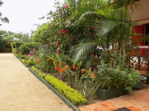 a row of plants and flowers in a garden at Comfortable Studio with Sea View in Foulpointe - 30 m² in Foulpointe