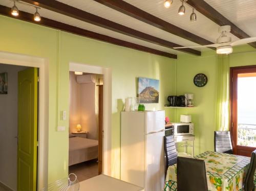 a kitchen with green walls and a white refrigerator at Appartement confortable avec vue sur mer à Bouillante, 50 m² in Bouillante