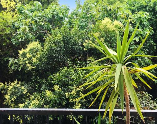 Appartement spacieux à Montpellier avec jardin, 78 m²