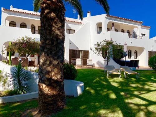 a palm tree in front of a house at Charming House in Carvoeiro + Pool in Carvoeiro