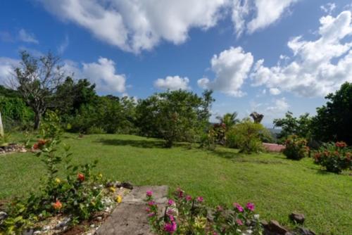 a garden with flowers on a green field at Appartement charmant à Rivière-Salée, 45 m² avec terrasse privée in Rivière-Salée