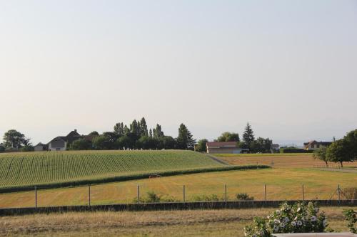 a field of crops with a fence in the foreground at Comfortable studio in Bevaix with mountain view - 30 m² + Spa in Bevaix
